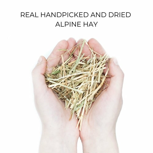 REAL HANDPICKED AND DRIED ALPINE HAY 63b67b45 80ce 4dab a06f a4a50be0a42b